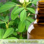 Fenugrec huile massage