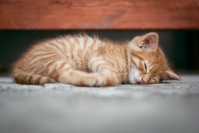 Posture, sommeil et maintien les gestes qui préservent votre poitrine