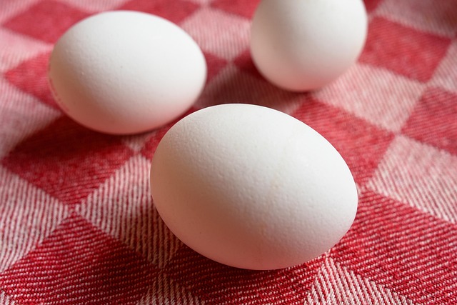 Alimentation pour raffermir les seins